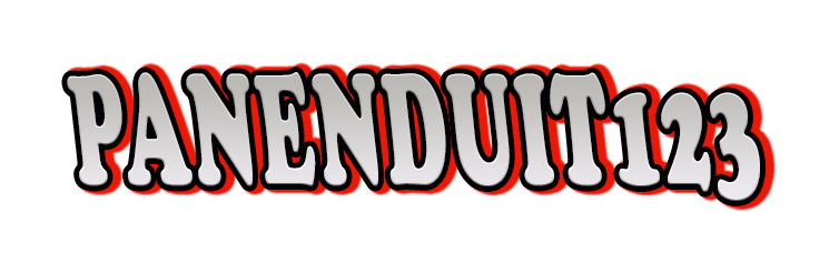 Panenduit123