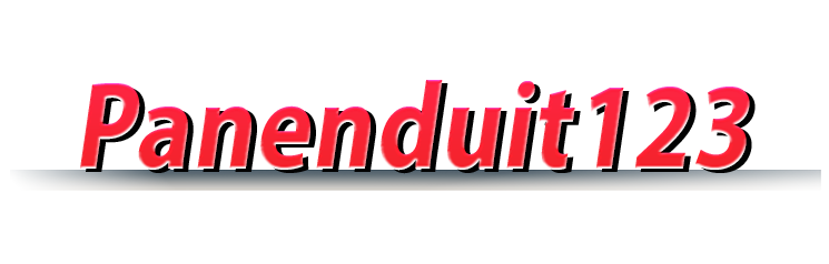 PANENDUIT123